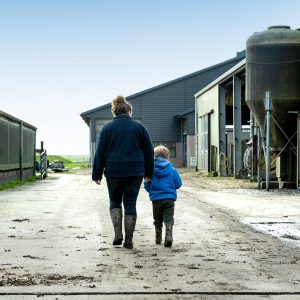 Cattle farmer and son in the farmyard