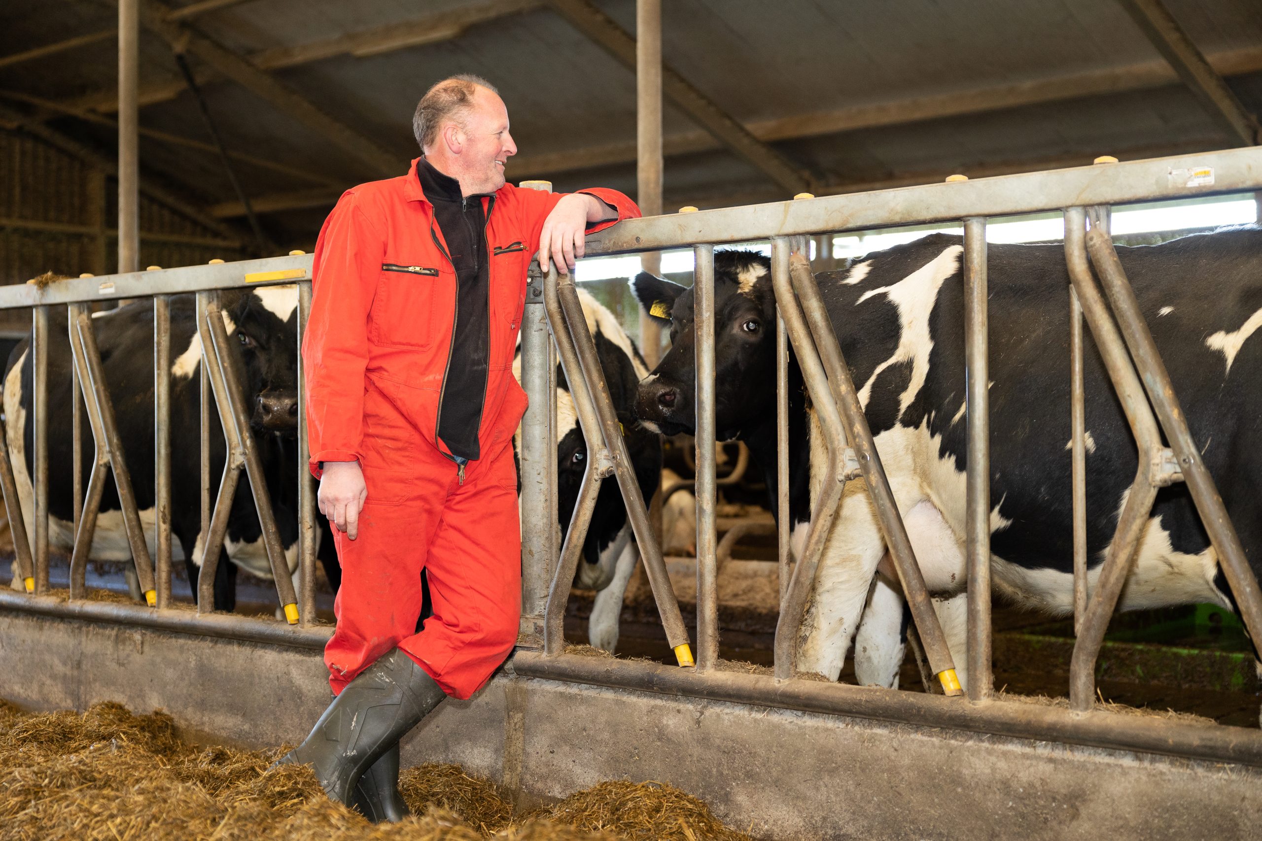 Doel: beeldondersteuning Duurzame verhalen met veehouder Berto Klaver. Voor gebruik elders graag afstemmen met afdeling Communicatie